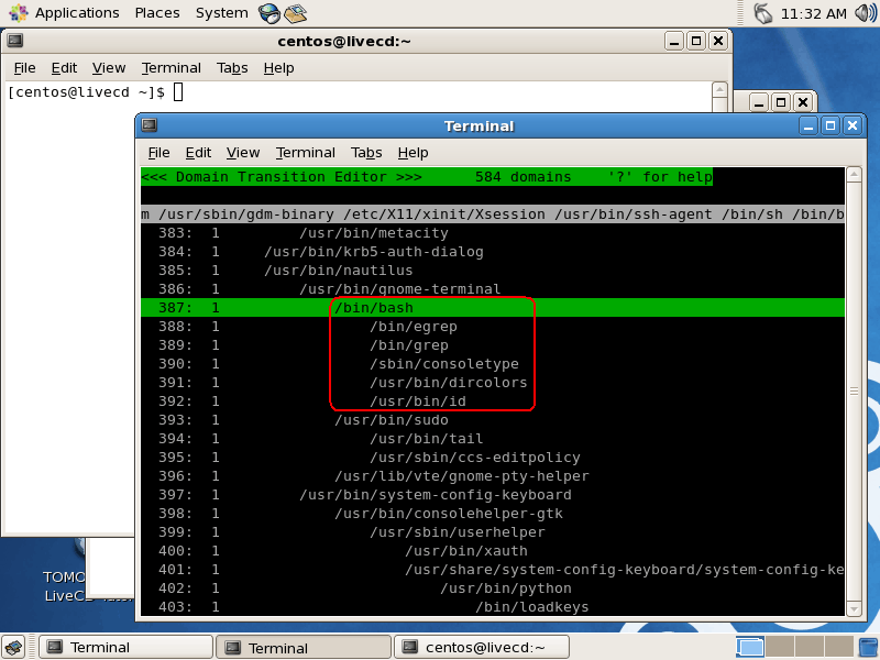 bash executed by gnome-terminal domain_bash.png